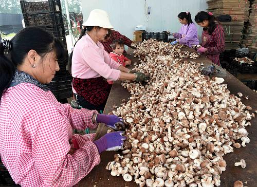 921գũ帾Ůѡղյʳþ