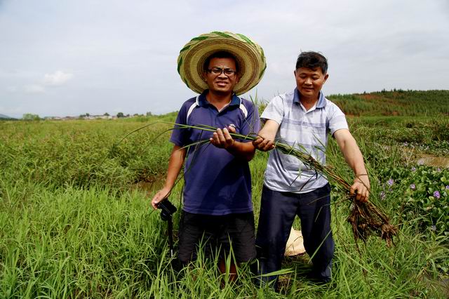 ���������ؿ�չҰ������Դ����