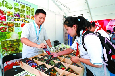 Ľ챱ѧ껪ڰƥ˹԰Ļ ̫չ