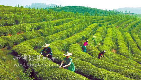 㽭̽չȫɽũҵִˮģʽ ƽҵ