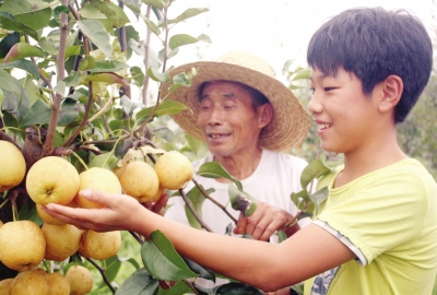 ���������У���ԭ���ֵĲ�ҵ�����