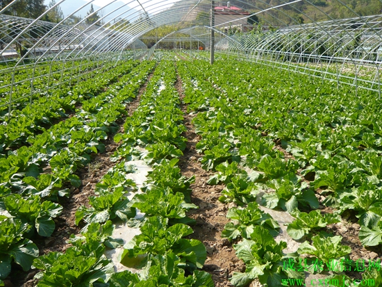 �������������󴨴��޹����߲����������ﲥ��ײ˳���ϲ��