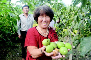 ɽ�������У���Ƥ���Ҵ����