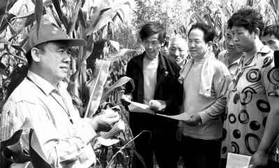 �����ڻƣ��ƹ����������ֲ��ɺ���ʧ