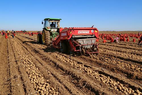 �ӱ���������ʼ������ջ�������