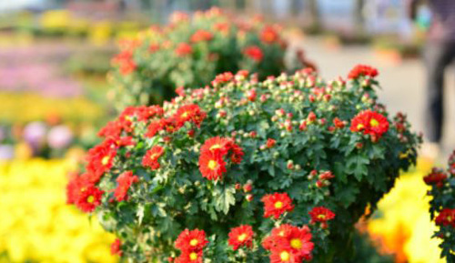 �����Ͼ��н��������조�ͻ�����ҵ��