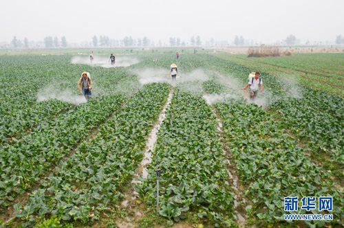 ���ջ�Զ�أ������߲�ϲ�����