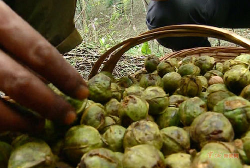 ����������33��Ķɽ����ϲ�����