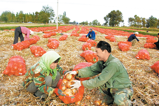 ���������У��ϲ���ֲ������ﵽ15��Ķ