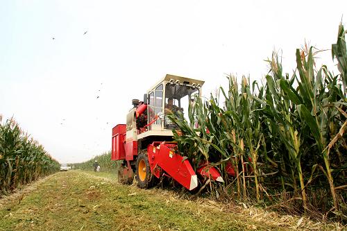 9��26�գ�һ̨�����ո����ɽ��ʡ������۰����۰�ǽֵ����ʹ�����ջ����ס�