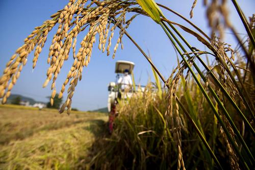 927գոڽŽж첺ˮ߲ʾջˮ