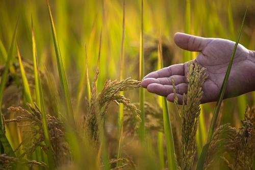 926գũԱڽʡŽжز״鿴롣