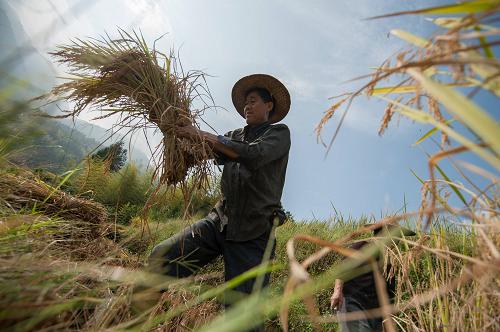 927գ㽭ʡ֣ͷոֵĵ