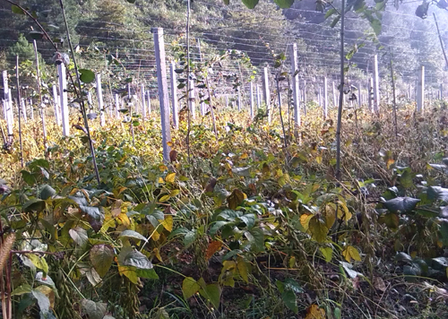 ����������3�Żƶ����ϵ������ֻ�ú���