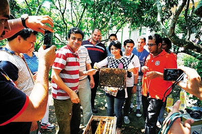 海南:外国农技学员来琼取经养蜂技术