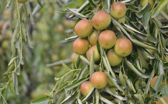 ɽ������մ��50��Ķ����ϲ����� Ԥ���ܲ�7�ڽ�