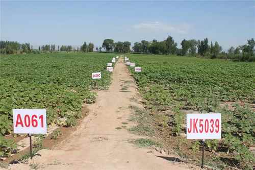 ���ɹ�����ؿ�չ���տ���Ʒ����������