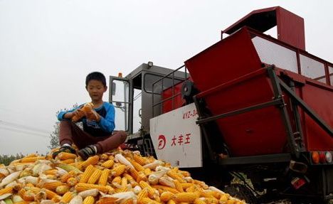 ���ϱ�����������ʳ�������