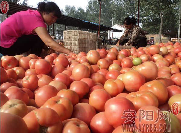 ���ϰ������ڻ��ض�ׯ������߲��ܿ�������