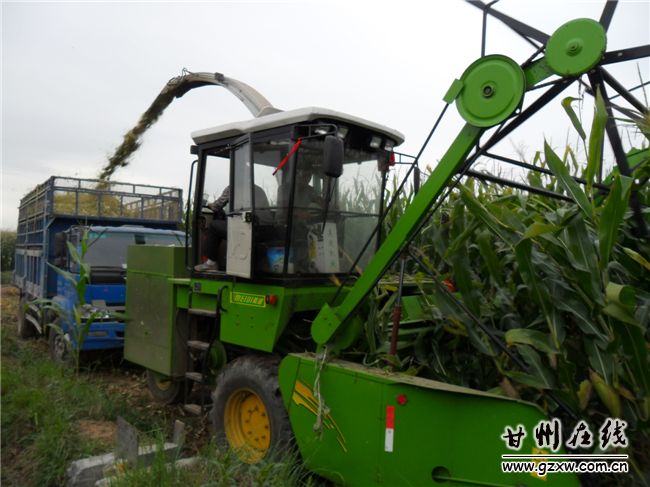 ������Ҵ��������������������簲��