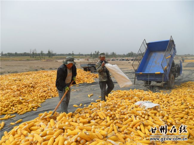 ͼΪ���������ɹ��������