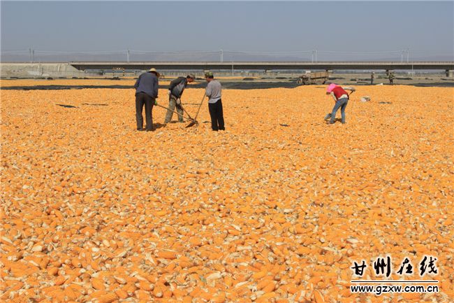 ������Ҵ������������5��Ķ��������ϲ�����