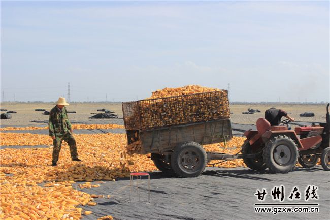 ������Ҵ������������5��Ķ��������ϲ�����2