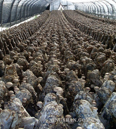 ���������أ���ѧ����ʳ�þ���ҵת��������չ