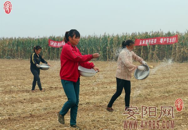 ���ϰ����أ��ոѸ��컹����Ǻ�