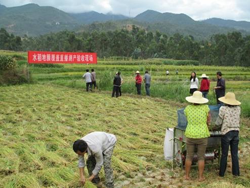 Ρɽ2014ˮĤǺֱʾͨ