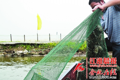 2014�갲�պϷʻ������բз����