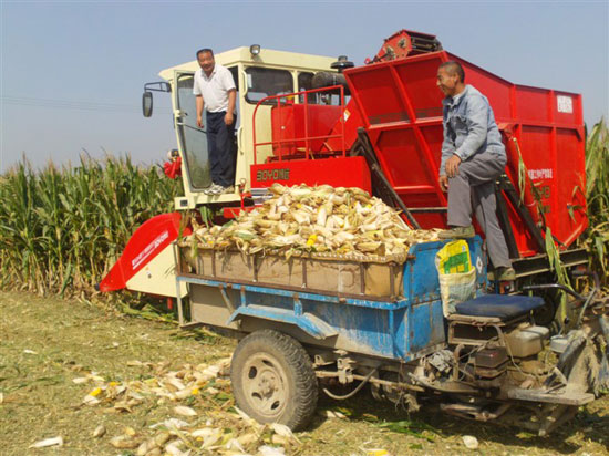 �����Ϫ�����׻���������Ļ