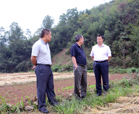 湖北竹山县:实地指导,积极做好油菜移栽前的准备工作