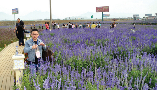 ش조ʫ绨ֲ10Ķ޹²