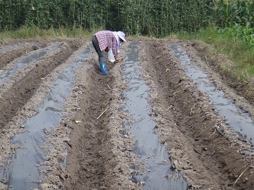 ���������ũ����æ