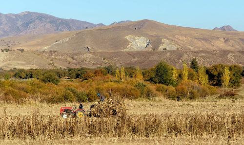 ���ɹų���У������ջ� �������