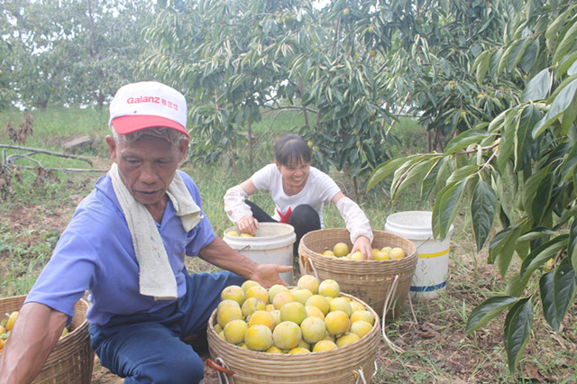 ����������ũ�ɹ�æ