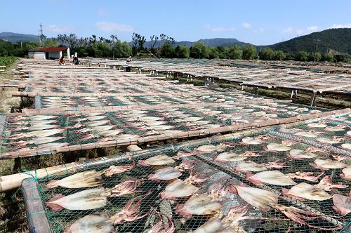 105գ㽭ʡɽжڷɹɡ