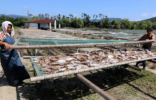 105գ㽭ʡɽжڷɹɡ