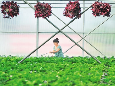 ������ɽ��̬ũҵʻ�Ͽ쳵��