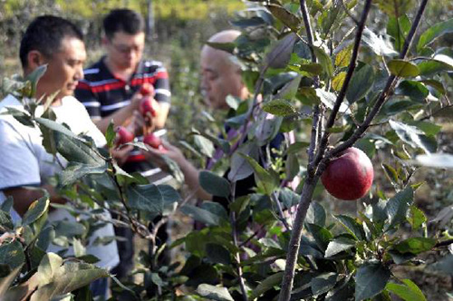 103գɽʡ۰ءƻֲغ縺˺裨һ̽ܡƻ