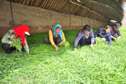 �������ţ����Ҿ²���ֲ���ո�²�