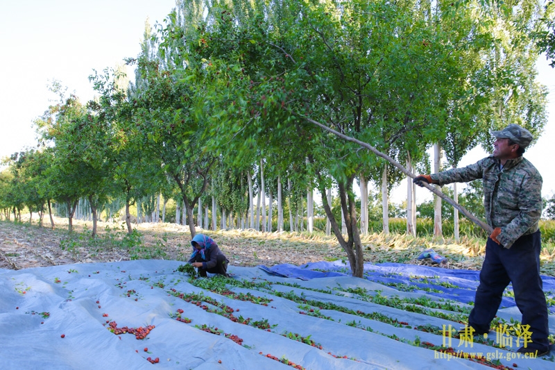 10��5�գ��������߼�Ӫ����Ӫ����������Լҵ�����档�����ջ�С����죬���յ�ϲ��������ũ�����ϡ�