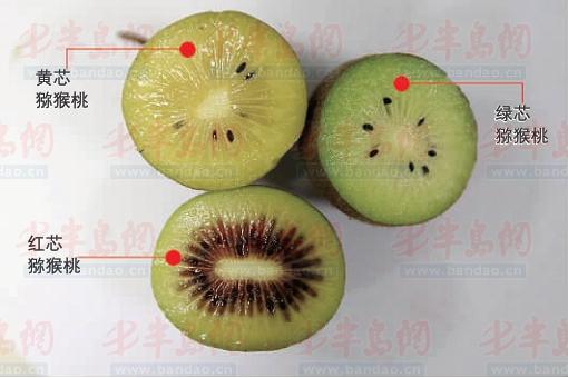 �ൺ�Ѿ��������Ļ�о����о����о����⨺��ҡ�