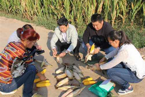 ���ɹ��ٺ���ũҵ�����ƹ����Ľ������ײ������