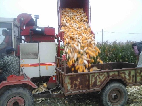 �����Ϫ�����׻��ա�һ������������׷��