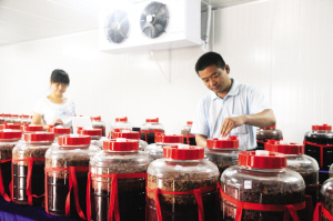 天津武清区生态园栽种数十种葡萄 葡萄酒坊明年开放