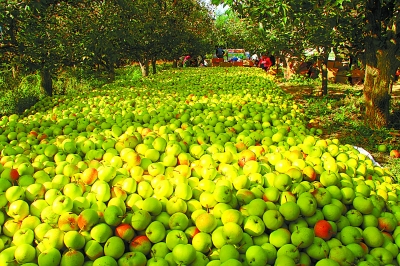 ������Ҵũ��ƻ�����ô��������