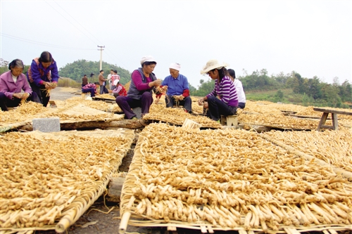 ������ɽ��ɫЧ��ũҵ��չ�ٽ���̬����