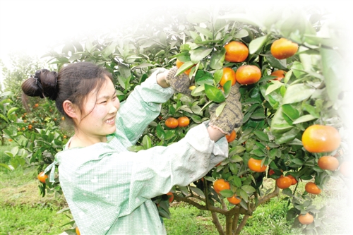 ��������ˮ��������ڲ�ժ������١�